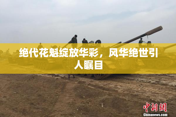 绝代花魁绽放华彩，风华绝世引人瞩目