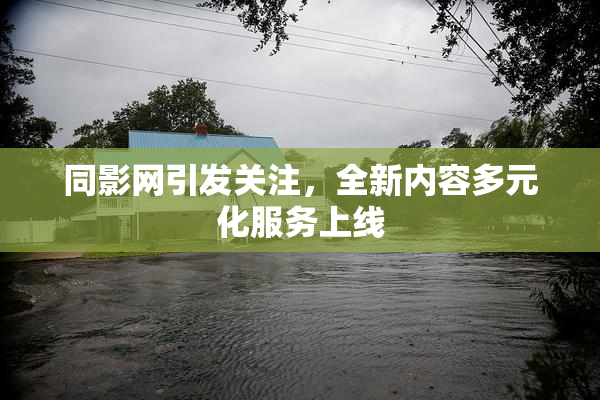 同影网引发关注，全新内容多元化服务上线