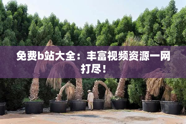 免费b站大全：丰富视频资源一网打尽！