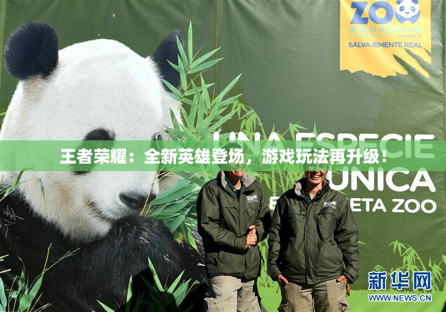 王者荣耀：全新英雄登场，游戏玩法再升级！