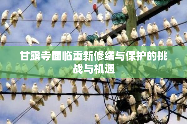 甘露寺面临重新修缮与保护的挑战与机遇
