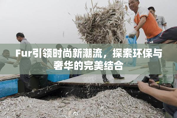 Fur引领时尚新潮流，探索环保与奢华的完美结合