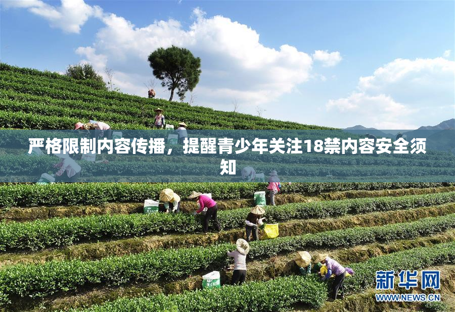 严格限制内容传播，提醒青少年关注18禁内容安全须知