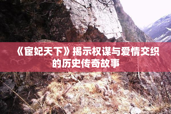 《宦妃天下》揭示权谋与爱情交织的历史传奇故事