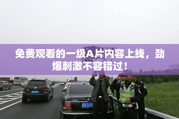 免费观看的一级A片内容上线，劲爆刺激不容错过！