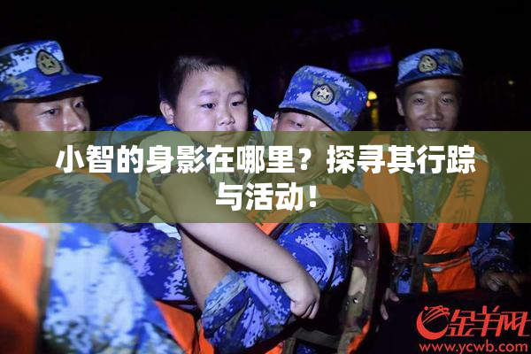 小智的身影在哪里？探寻其行踪与活动！