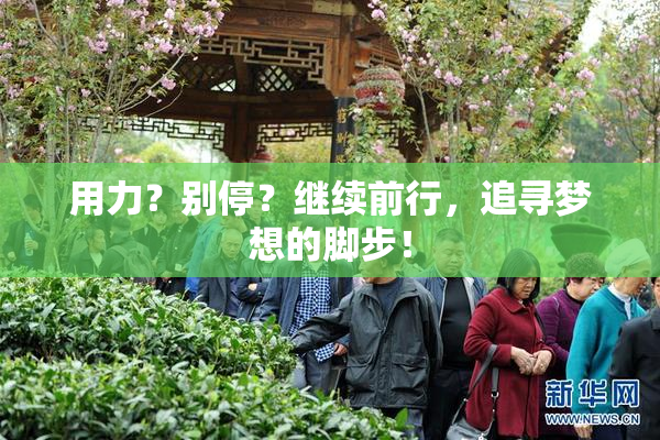 用力？别停？继续前行，追寻梦想的脚步！