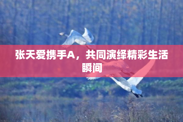 张天爱携手A，共同演绎精彩生活瞬间