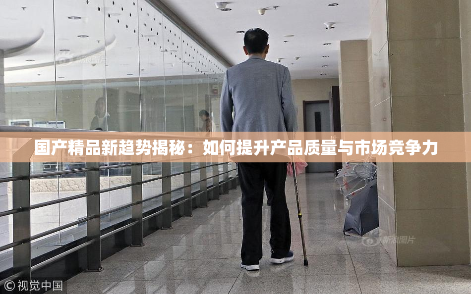 国产精品新趋势揭秘：如何提升产品质量与市场竞争力