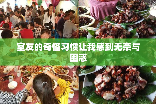 室友的奇怪习惯让我感到无奈与困惑