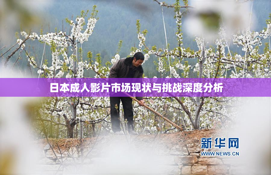 日本成人影片市场现状与挑战深度分析