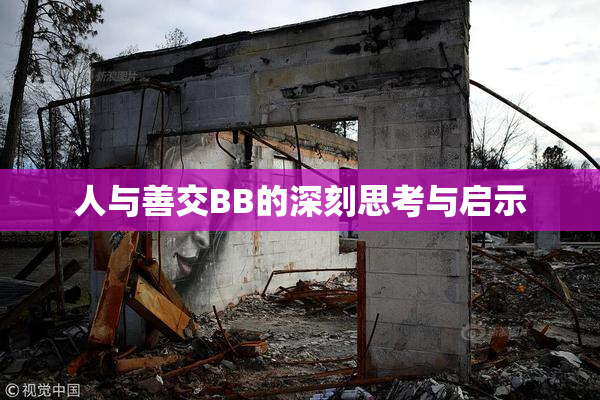 人与善交BB的深刻思考与启示