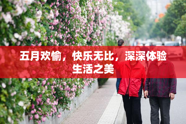 五月欢愉，快乐无比，深深体验生活之美