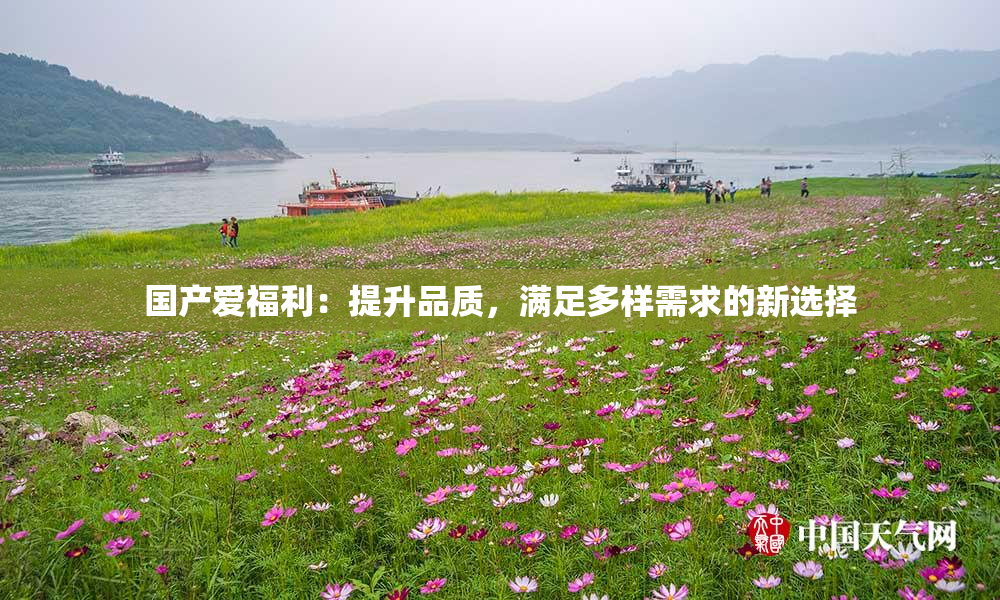 国产爱福利：提升品质，满足多样需求的新选择
