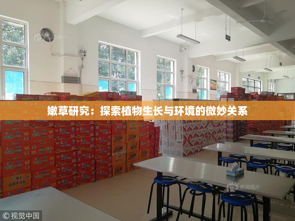 嫩草研究：探索植物生长与环境的微妙关系