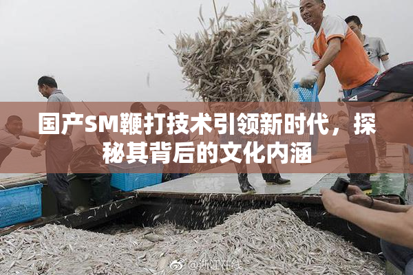 国产SM鞭打技术引领新时代，探秘其背后的文化内涵