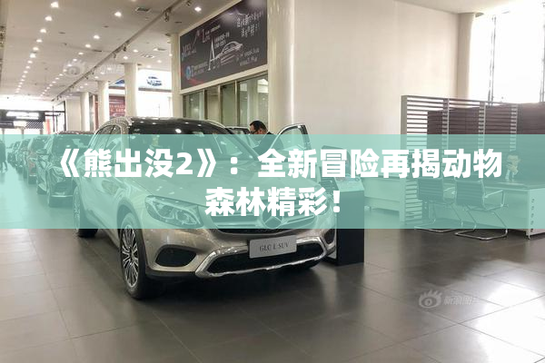 《熊出没2》：全新冒险再揭动物森林精彩！