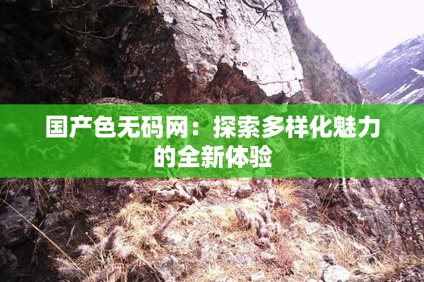 国产色无码网：探索多样化魅力的全新体验