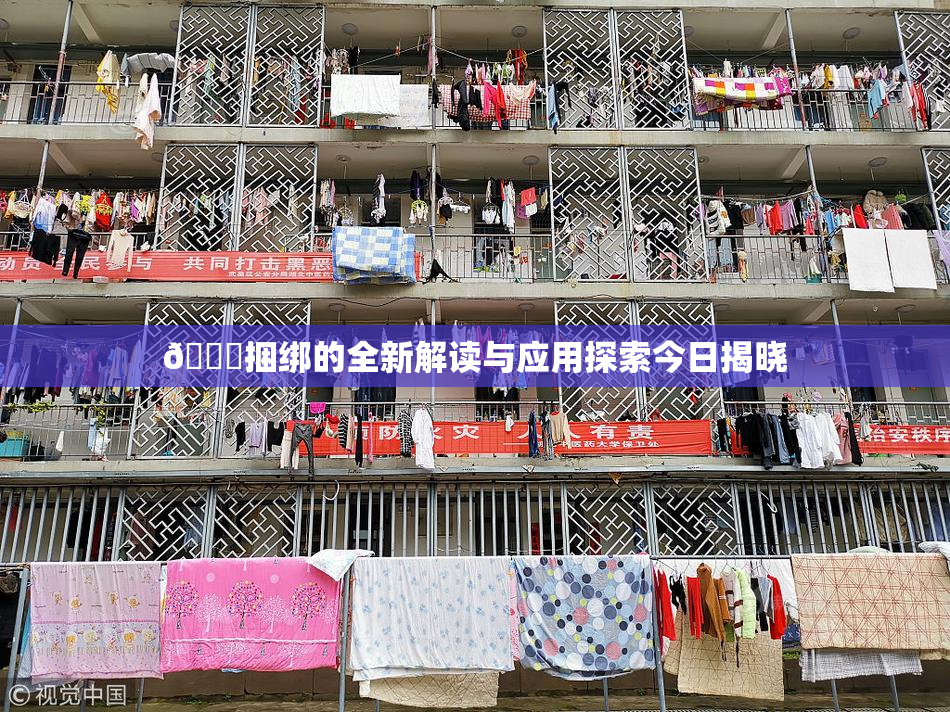 🔞捆绑的全新解读与应用探索今日揭晓