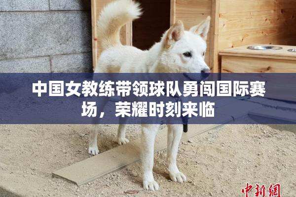 中国女教练带领球队勇闯国际赛场，荣耀时刻来临