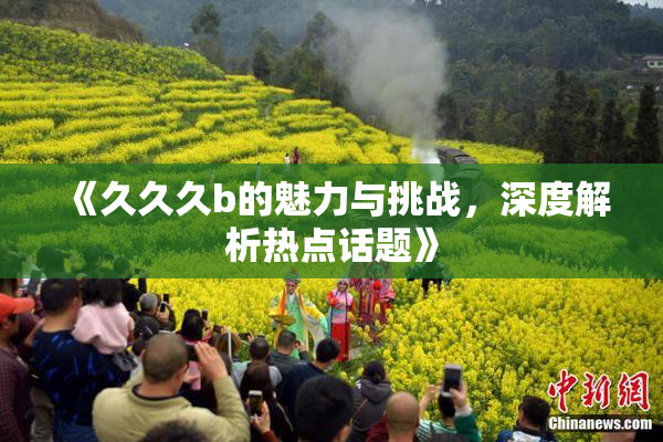 《久久久b的魅力与挑战，深度解析热点话题》