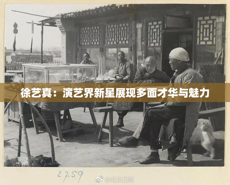 徐艺真：演艺界新星展现多面才华与魅力