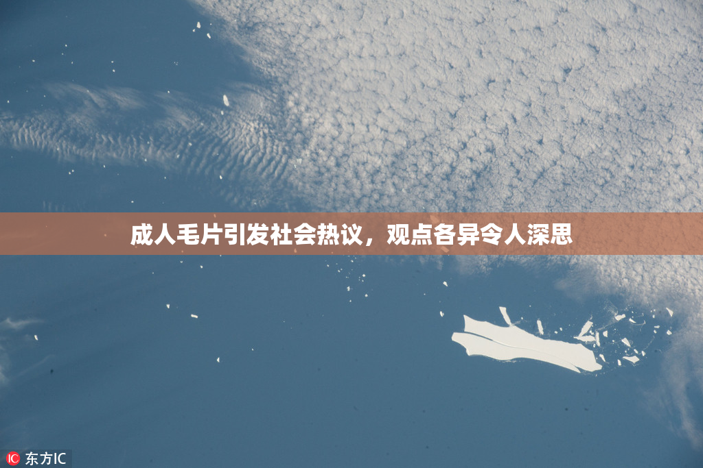 成人毛片引发社会热议，观点各异令人深思