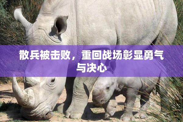 散兵被击败，重回战场彰显勇气与决心