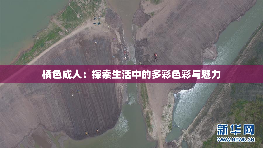 橘色成人：探索生活中的多彩色彩与魅力