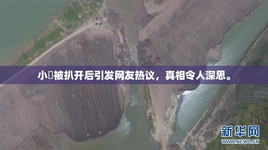 小泬被扒开后引发网友热议，真相令人深思。
