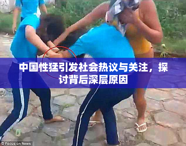 中国性猛引发社会热议与关注，探讨背后深层原因