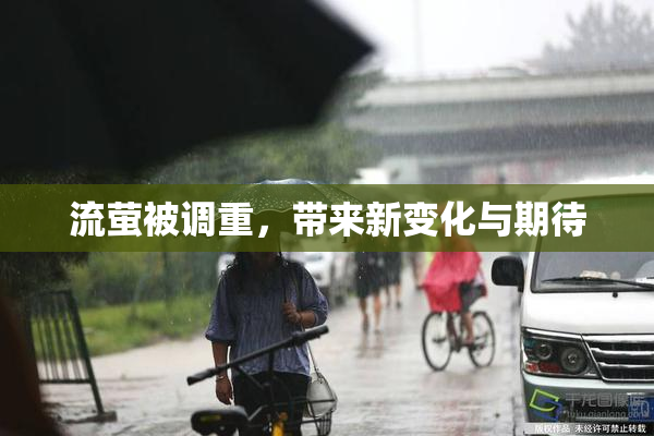 流萤被调重，带来新变化与期待