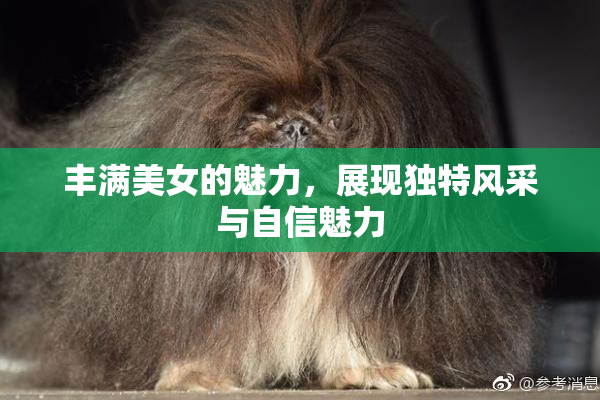 丰满美女的魅力，展现独特风采与自信魅力