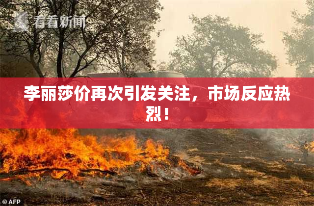 李丽莎价再次引发关注，市场反应热烈！