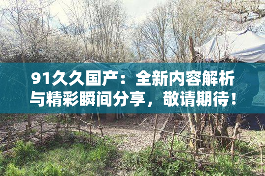 91久久国产：全新内容解析与精彩瞬间分享，敬请期待！