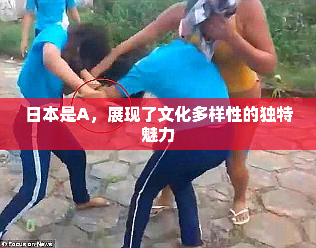 日本是A，展现了文化多样性的独特魅力