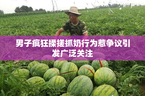 男子疯狂揉搓抓奶行为惹争议引发广泛关注