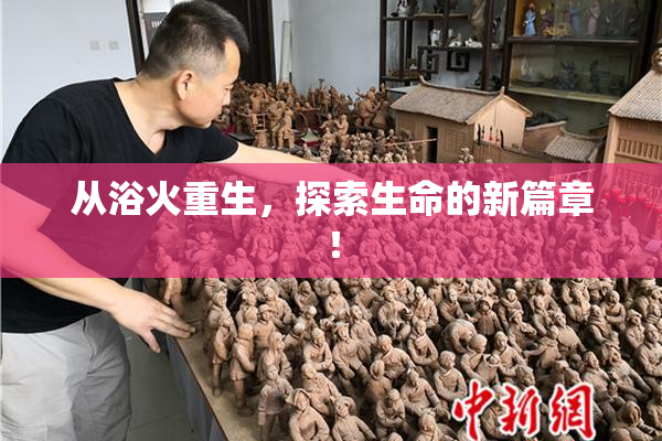 从浴火重生，探索生命的新篇章！