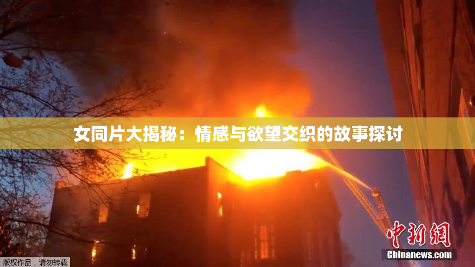 女同片大揭秘：情感与欲望交织的故事探讨