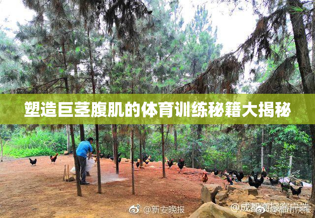 塑造巨茎腹肌的体育训练秘籍大揭秘
