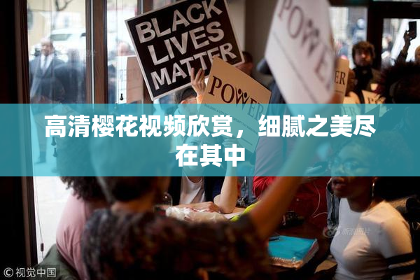 高清樱花视频欣赏，细腻之美尽在其中