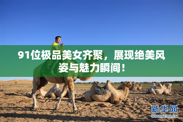 91位极品美女齐聚，展现绝美风姿与魅力瞬间！