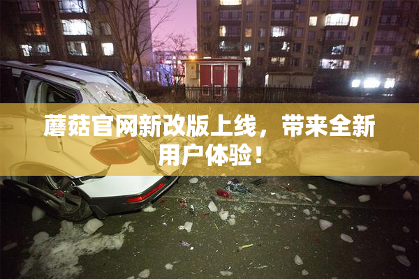 蘑菇官网新改版上线，带来全新用户体验！