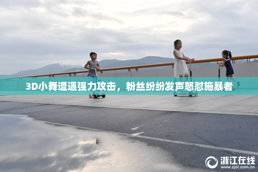 3D小舞遭遇强力攻击，粉丝纷纷发声怒怼施暴者