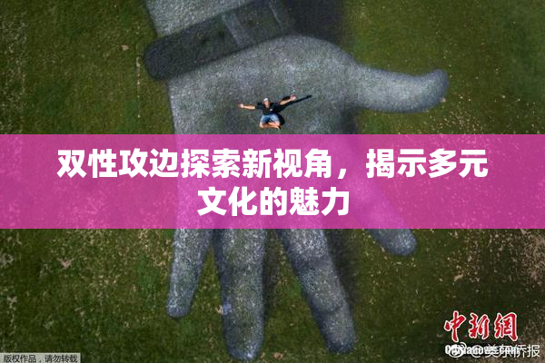 双性攻边探索新视角，揭示多元文化的魅力