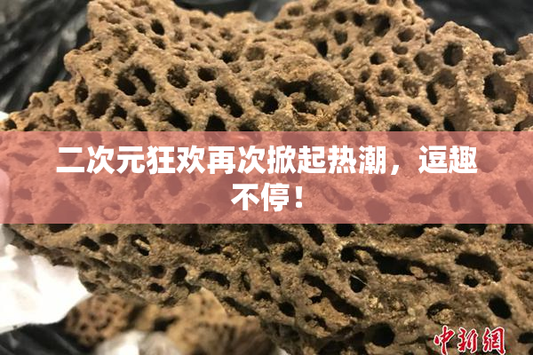 二次元狂欢再次掀起热潮，逗趣不停！