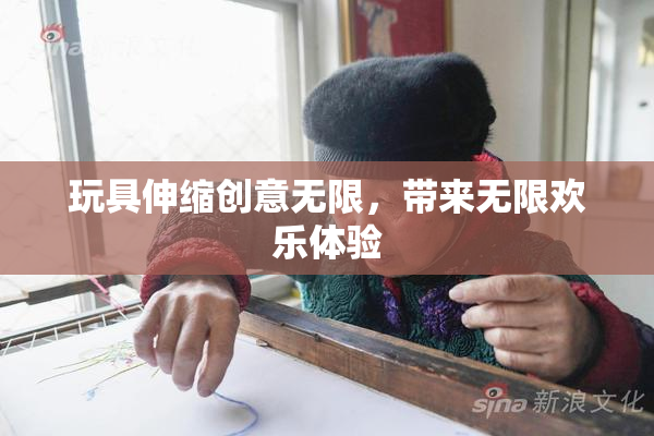 玩具伸缩创意无限，带来无限欢乐体验
