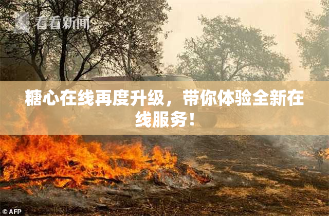 糖心在线再度升级，带你体验全新在线服务！