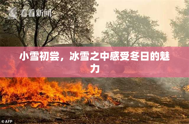 小雪初尝，冰雪之中感受冬日的魅力