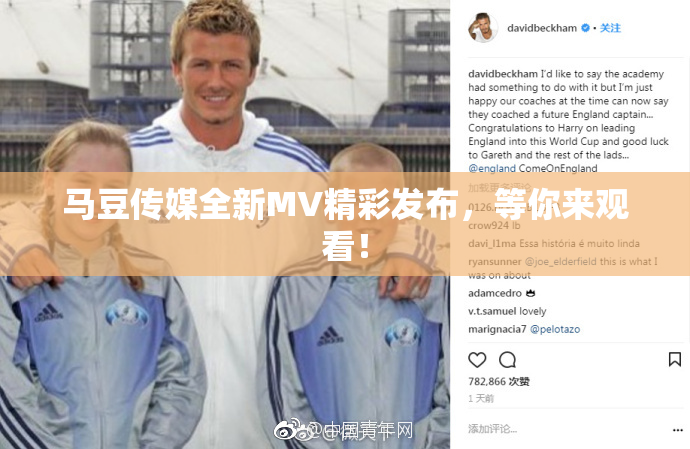 马豆传媒全新MV精彩发布，等你来观看！